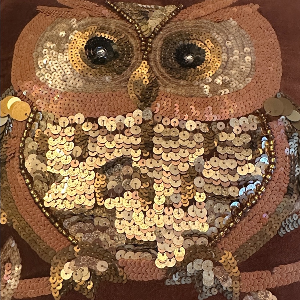 Pier 1 Imports Beaded Sequin Owl Brown Velvet Pillow 14" Square Fall Decor - Picture 3 of 13